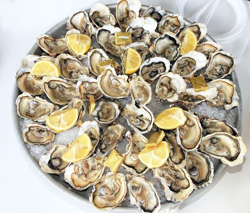 Pour Les Amoureux Des Vieilles Pierres Poussan 外观 照片